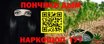 индика Тверь