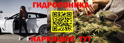 индика Тверь