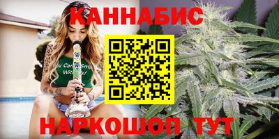 индика Тверь
