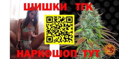 индика Тверь