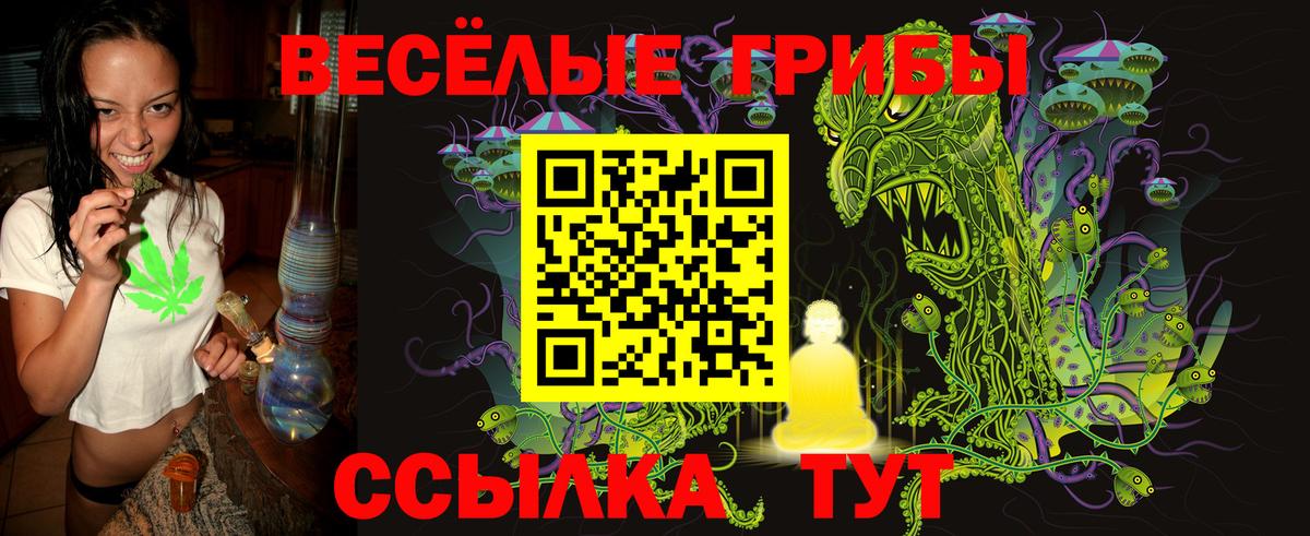 Медногорск  Галлюциногенные грибы Cubensis  Вход с VPN  Псилоцибиновые грибы Magic Shrooms 